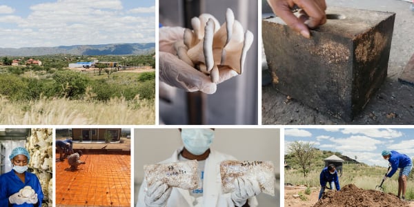 Standard Bank partners with MIT on innovative housing and food project in Namibia